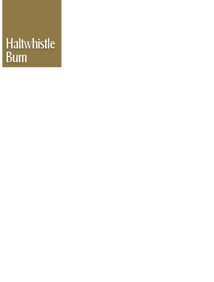 Haltwhistle
Burn